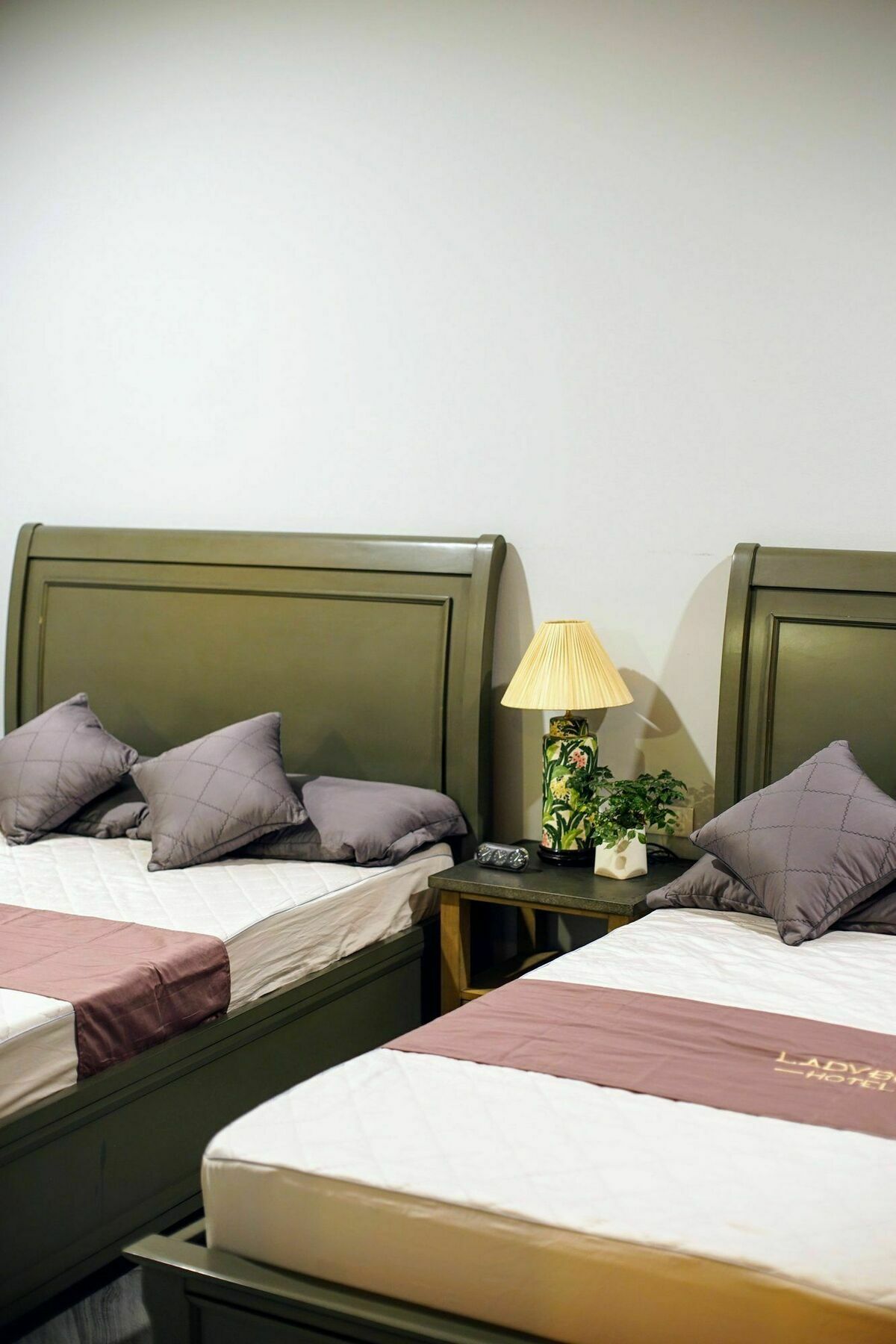 Ladybug Boutique Villa Hanoï Extérieur photo
