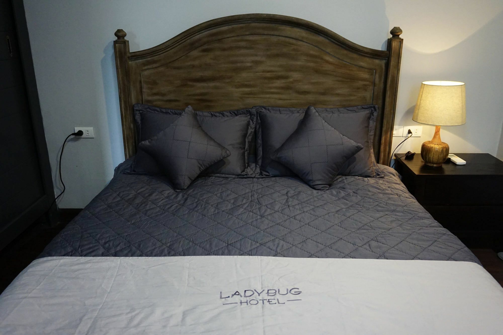 Ladybug Boutique Villa Hanoï Extérieur photo